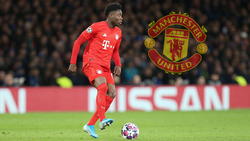 Alphonso Davies wechselte nicht zu Manchester United