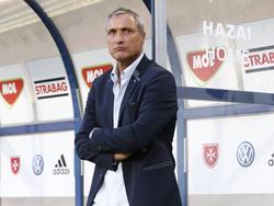 Bernard Casoni ist neuer Trainer des FC Lorient