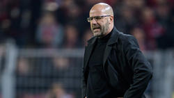 Im Spiel gegen den BVB steht auch Bayer-Coach Peter Bosz im Fokus