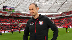 Wünscht sich von seinen Spielern mehr Gier: Bayer-Coach Heiko Herrlich