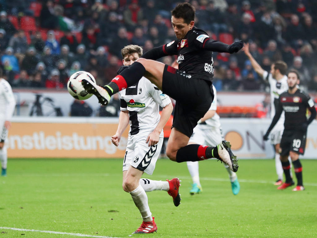Chicharito anotó cinco goles en los tres últimos partidos de la Bundesliga. (Foto: Getty)