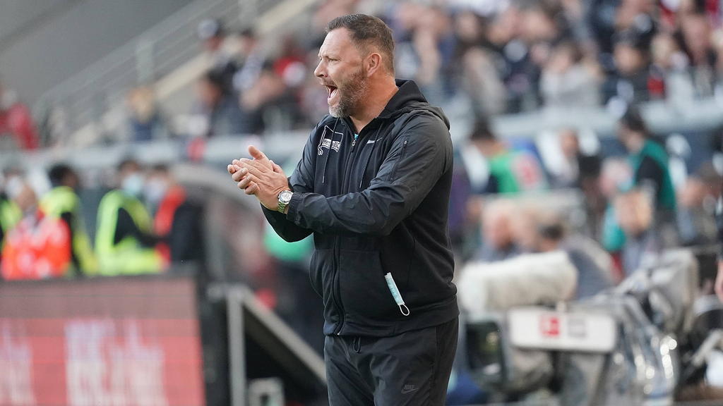 Pál Dárdai soll Hertha BSC retten Pál Dárdai soll Hertha BSC retten