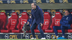 Manuel Baum braucht mit dem FC Schalke 04 ein Erfolgserlebnis