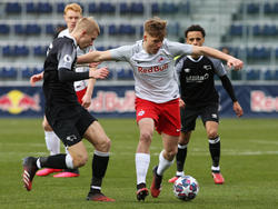 Alexander Prass, hier für Salzburgs Youth-League-Team im Einsatz, wechselt nach Graz