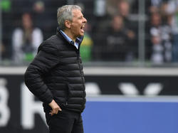 Lucien Favre könnte der neue Trainer des BVB werden