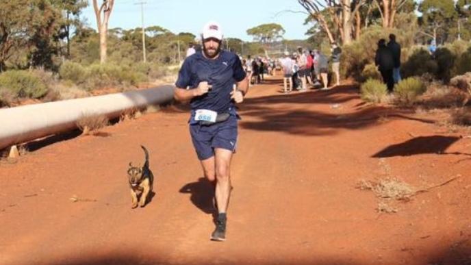 Tierisch schnell Hund läuft Halbmarathon