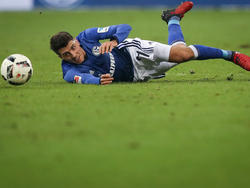Nach drei Spielen ohne Sieg ist Schalke auf dem Boden der Tatsachen angekommen