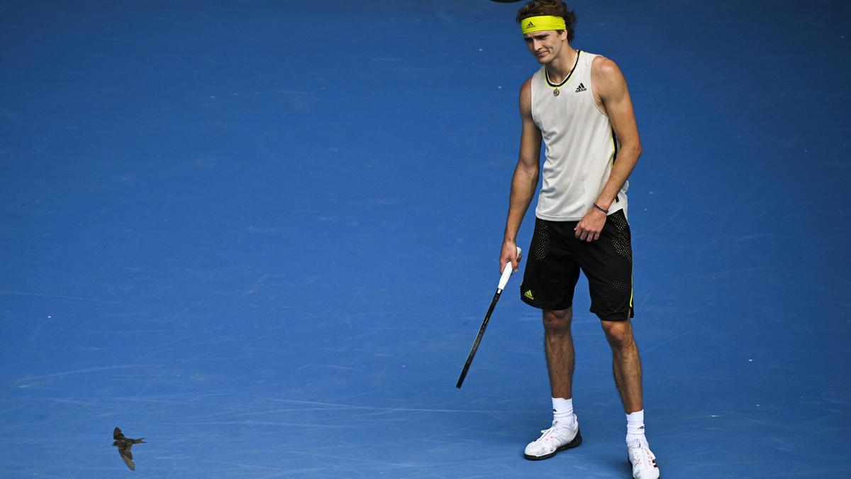 Alexander Zverev ist bei den Australian Open ausgeschieden