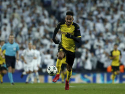 Pierre-Emerick Aubameyang hat in dieser Saison zwölf Bundesliga-Tore auf dem Konto