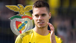 Julian Weigl hat den BVB in Richtung Lissabon verlassen