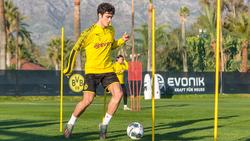 Giovanni Reyna gilt als eines der größten Talente beim BVB