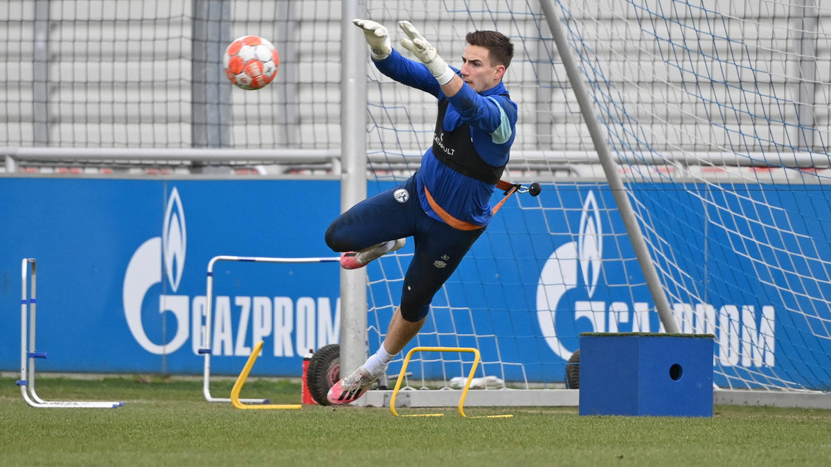 Martin Fraisl ist Stammtorwart beim FC Schalke 04
