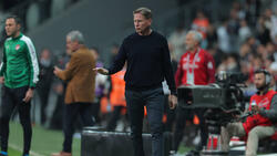 Neuer Job für Markus Gisdol