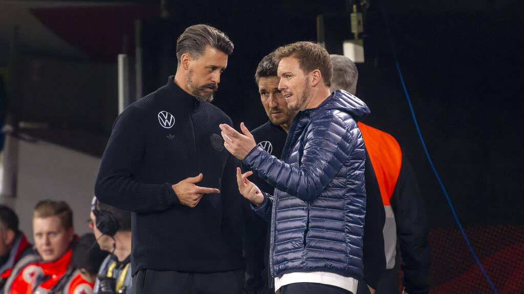 Nur noch bis Juni gemeinsam beim DFB: Sandro Wagner und Julian Nagelsmann Nur noch bis Juni gemeinsam beim DFB: Sandro Wagner und Julian Nagelsmann