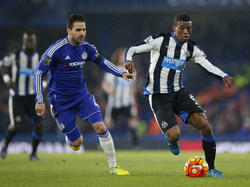 Georginio Wijnaldum (r.) snelt langs Cesc Fàbregas (l.) tijdens het competitieduel Chelsea - Newcastle United. (13-02-2016)
