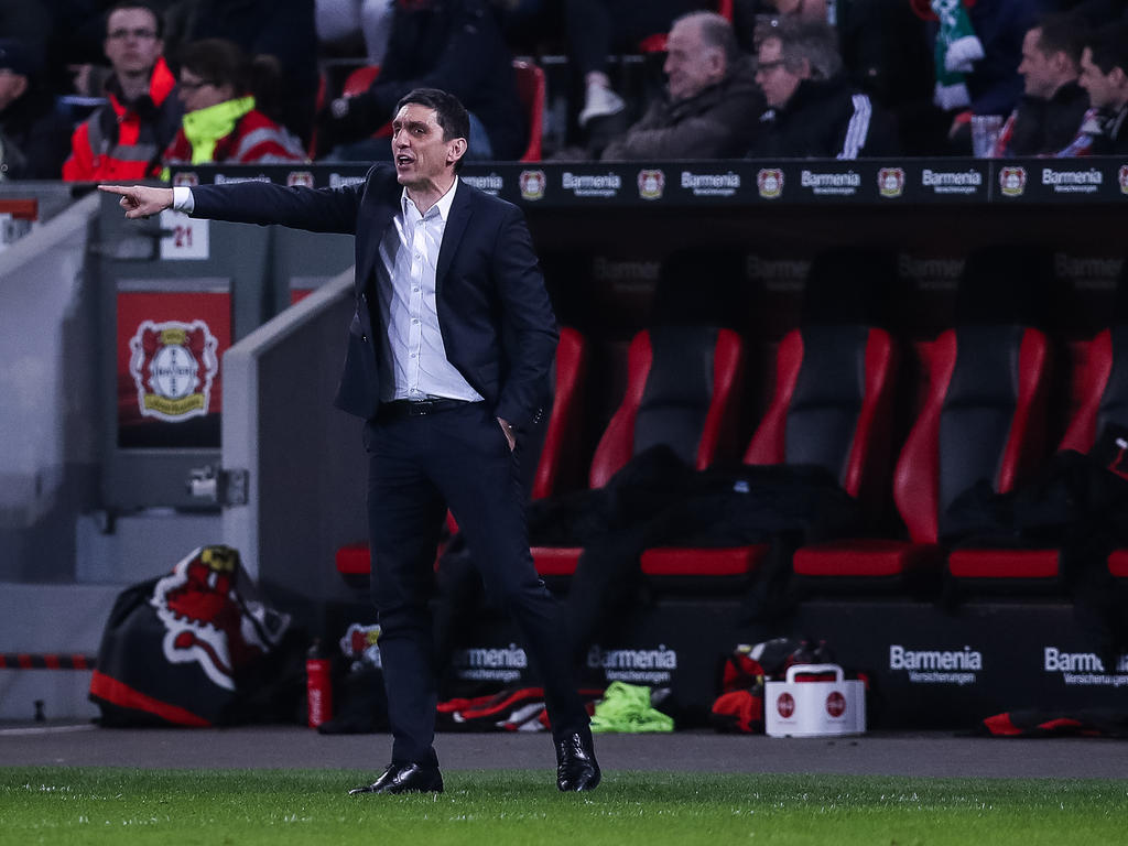 Leverkusens Trainer Tayfun Korkut feiert sein Champions-League-Debüt