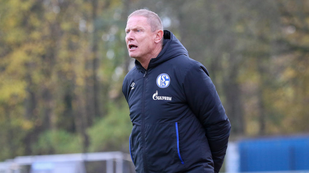 Torsten Fröhling ist U23-Coach beim FC Schalke 04