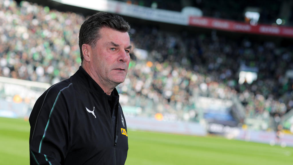Dieter Hecking kann sich einen Job als Bundestrainer vorstellen Dieter Hecking kann sich einen Job als Bundestrainer vorstellen