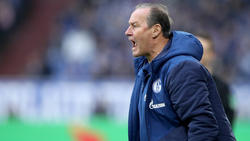 Schalke-Trainer Huub Stevens beschimpft nach dem Spiel einen Journalisten