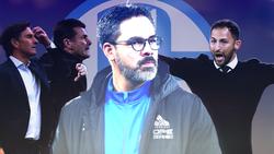 Bruno Labbadia, Dieter Hecking, David Wagner und Domenico Tedesco werden beim FC Schalke gehandelt
