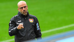 Peter Bosz hat zwei seiner Leistungsträger verloren