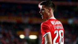 Julian Weigl wechselte vor knapp einem Jahr vom BVB zu Benfica