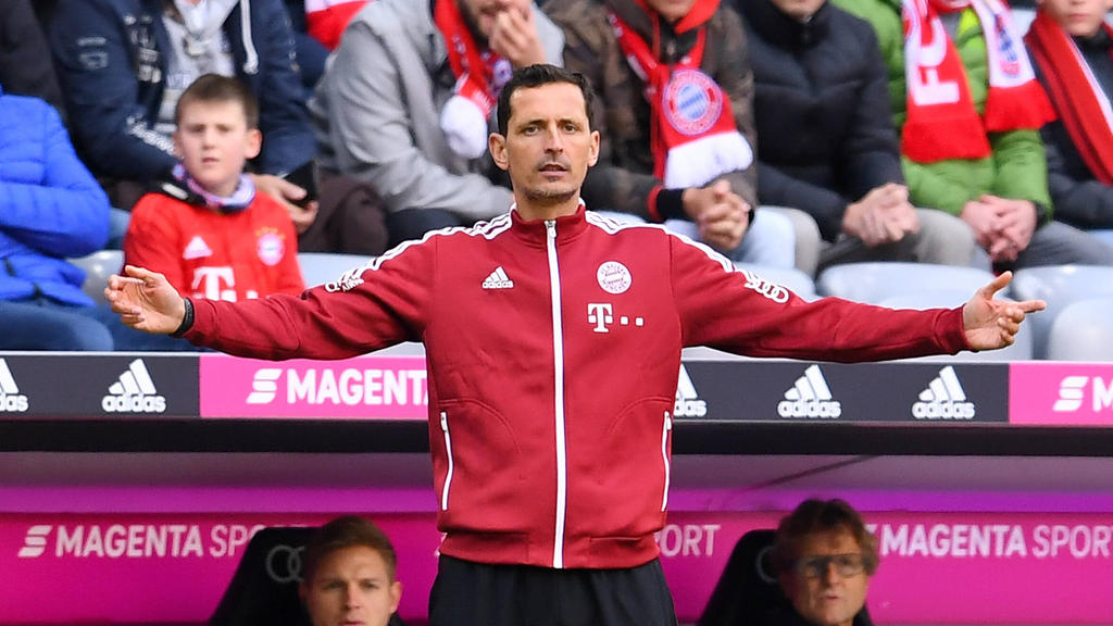 Dino Toppmöller ist Co-Trainer des FC Bayern