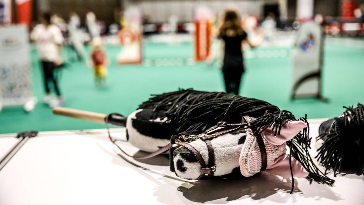 Mit Sprüngen, Figuren und viel Phantasie geradewegs zum Sporttrend galoppiert.