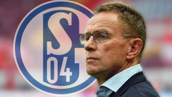 Wird Ralf Rangnick der neue starke Mann beim FC Schalke?
