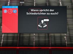 Schiedsrichter-Ansagen gibt es bald wohl in allen Stadien 