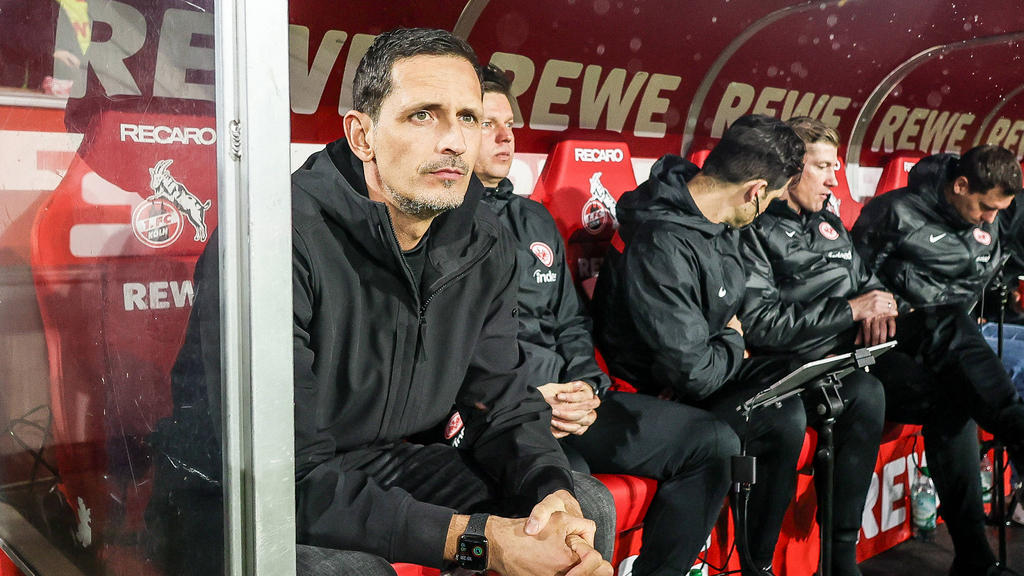 Steht Dino Toppmöller bei Eintracht Frankfurt zur Debatte?