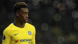 Callum Hudson-Odoi steht beim FC Bayern hoch im Kurs