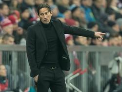 Roger Schmidt will seiner Arbeitsweise treu bleiben