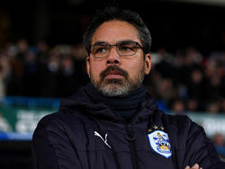 David Wagner wird laut VfL-Aufsichtsrat Hans-Gerd Bode nicht nach Wolfsburg kommen