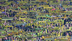 Gute Nachrichten für die BVB-Fans