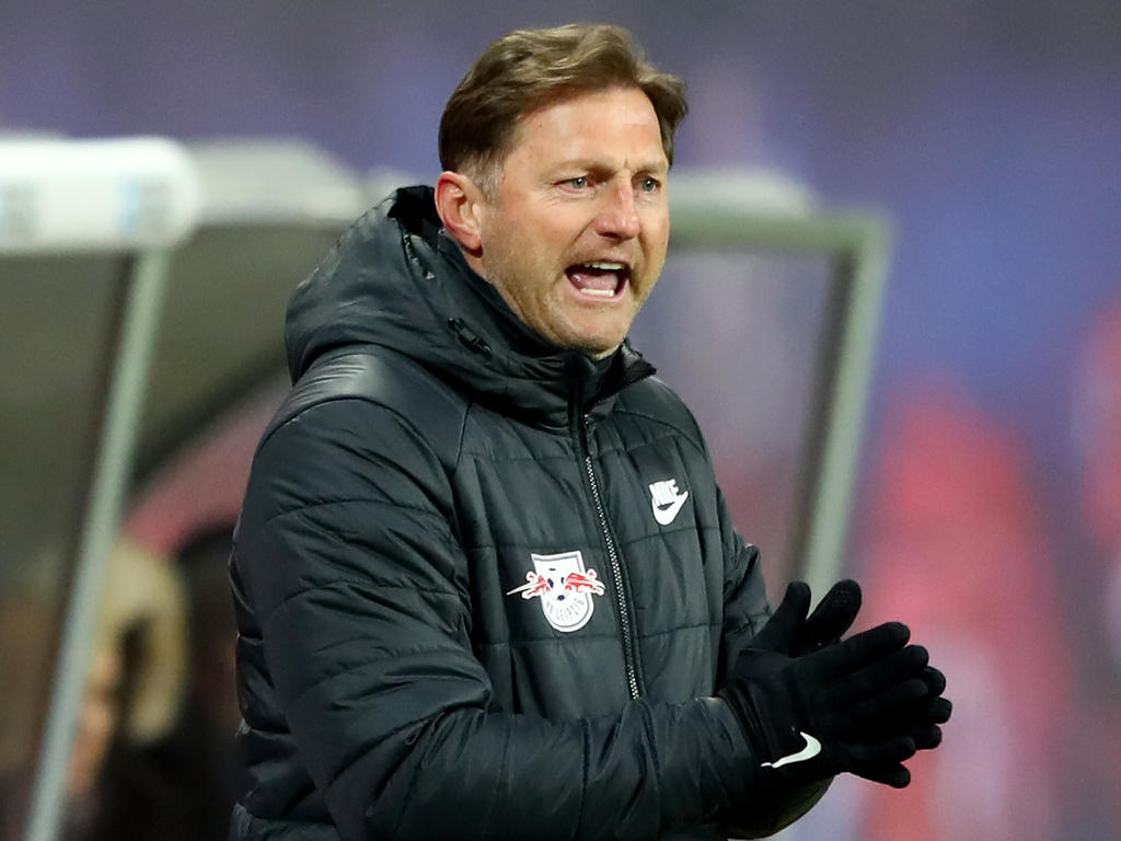 Ralph Hasenhüttl bekommt es mit dem VfB Stuttgart zu tun Ralph Hasenhüttl bekommt es mit dem VfB Stuttgart zu tun