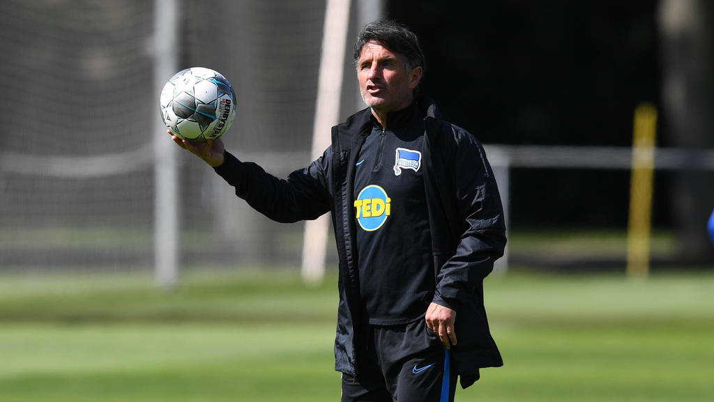 Bruno Labbadia steht vor seinem ersten Spiel als Hertha-Coach