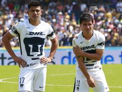 Los Pumas también están ya en la siguiente fase. (Foto: Imago)