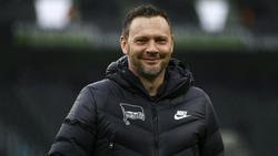 Pál Dárdai will mit der Hertha auch gegen Bremen gewinnen
