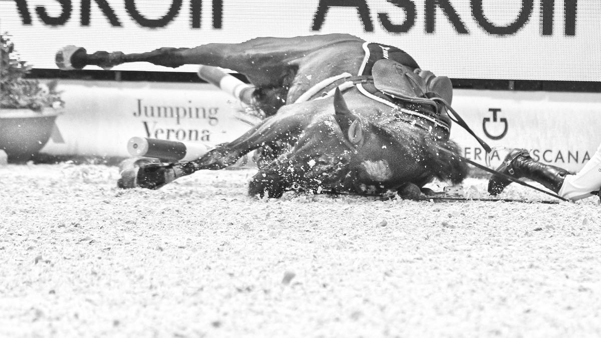 Drei Pferde starben bei den Blenheim International Horse Trials