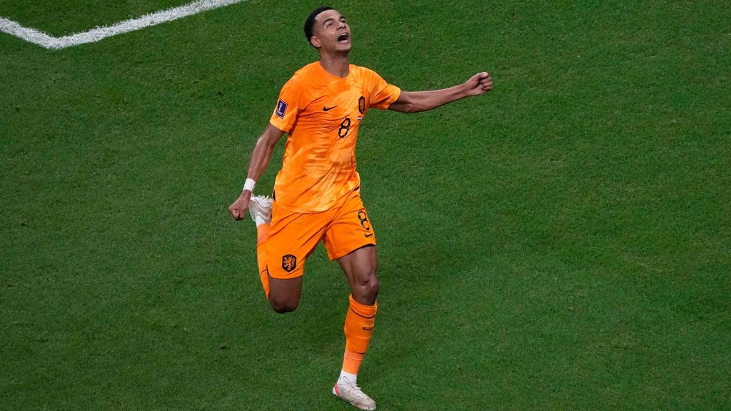 Der Niederländer Cody Gakpo feiert den Führungstreffer gegen WM-Gastgeber Katar