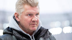Kritisiert Versäumnisse der BVB-Verantwortlichen: Stefan Effenberg