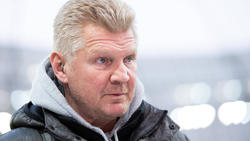 Effenberg sieht die Leistung des BVB gegen Mainz kritisch