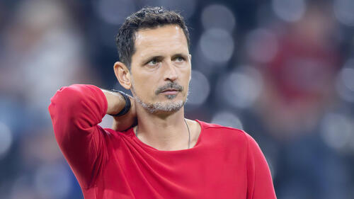 Dino Toppmöller und Eintracht Frankfurt treffen auf Viktoria Pilsen