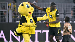 Biene Emma ist das Maskottchen des BVB