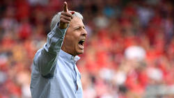Lucien Favre soll beim BVB verlängern