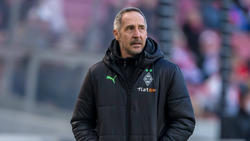 Adi Hütter fehlt Gladbach gegen Hertha BSC