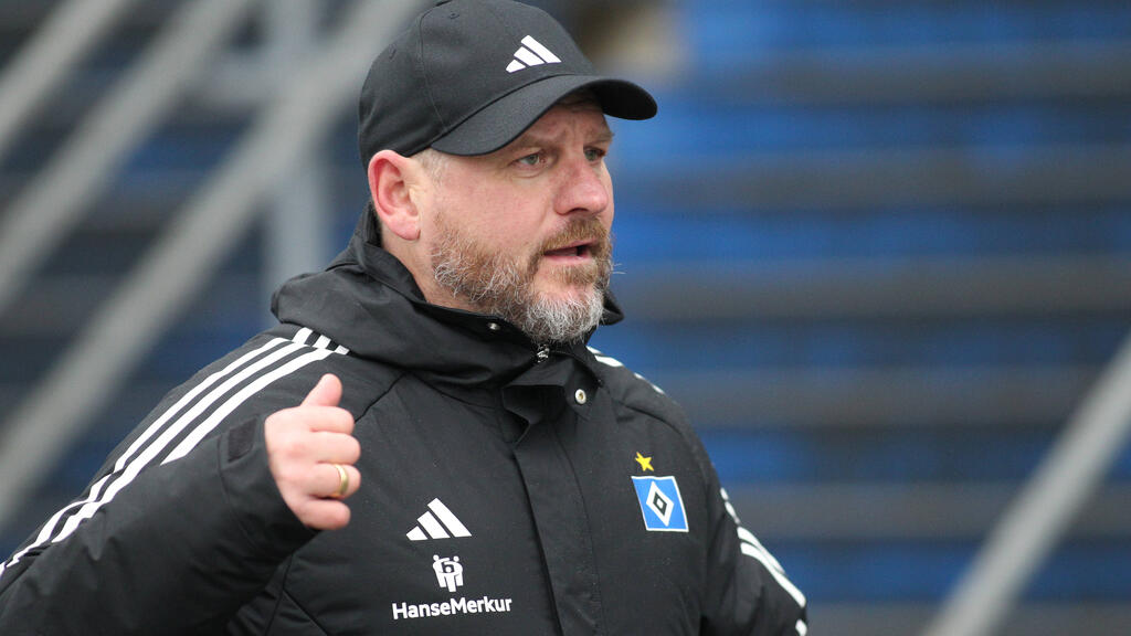 Steffen Baumgart soll den HSV zum Aufstieg führen