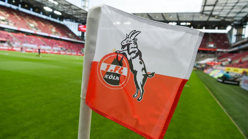 Der 1. FC Köln hat in der vergangenen Saison eine positive Bilanz erzielt Der 1. FC Köln hat in der vergangenen Saison eine positive Bilanz erzielt