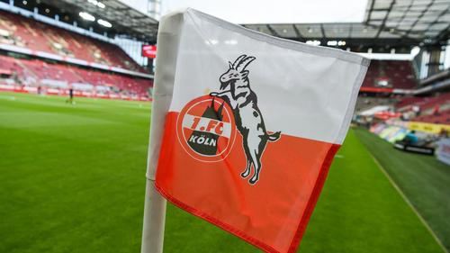 Der 1. FC Köln hat in der vergangenen Saison eine positive Bilanz erzielt